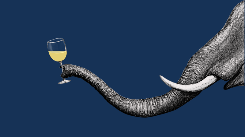 Chardonnay Personality Test