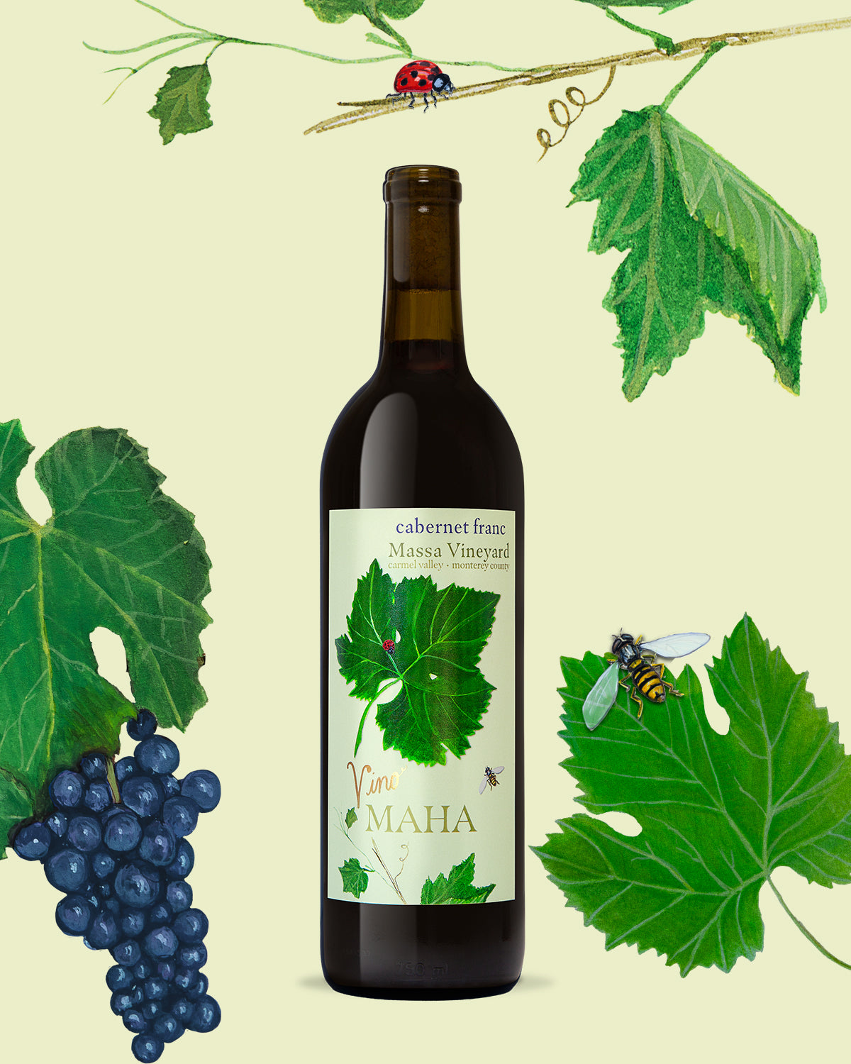 Cabernet Franc - VinoMAHA